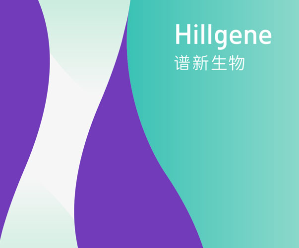 如何評估品牌VI設計的效果？